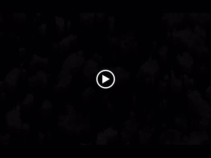 Hình ảnh Bún Đậu Gia Lai (Bà Năm) - 4