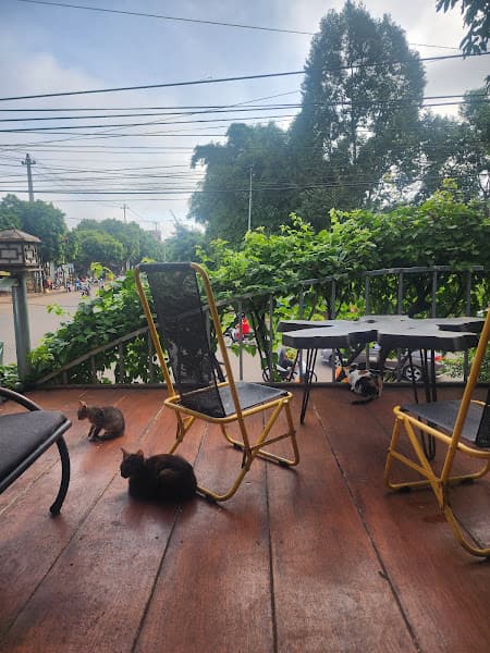 Hình ảnh ỤCoffee Star - 3