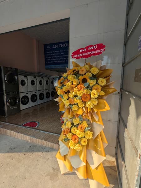 Hình ảnh An Thới Laundry - 2