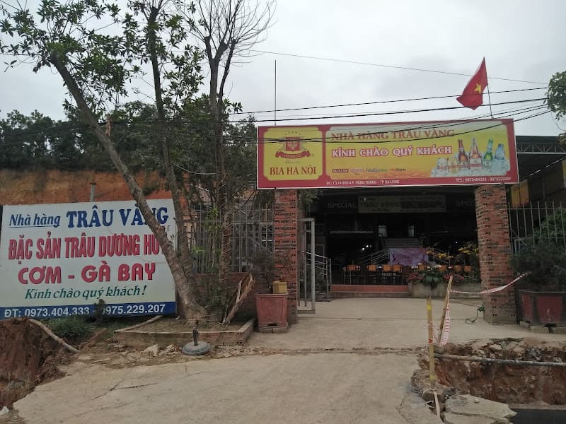 Hình ảnh Nhà Hàng Trâu Vàng - 2