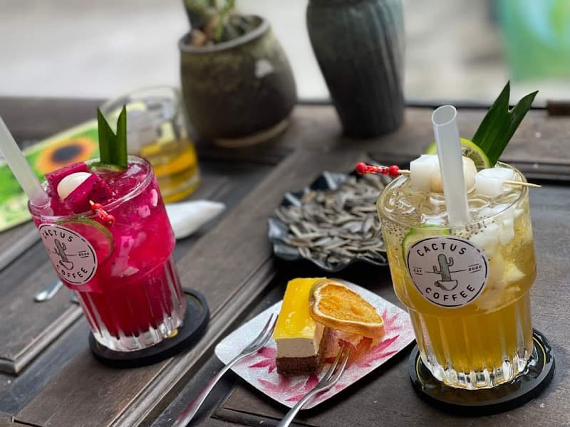 Hình ảnh Cactus Phan Chu Trinh - 2