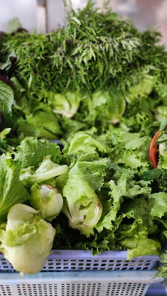 Hình ảnh Bánh Xèo 39 Bách Ánh - 3