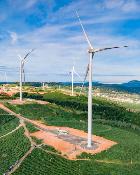 Hình ảnh Săn mây Panorama Cầu Đất - 6