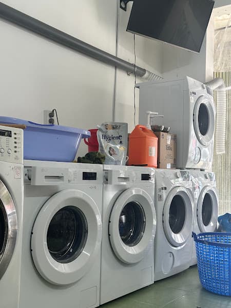 Hình ảnh Giặt Sấy Xanh BMT - Giặt Ủi - Fast and Clean Laundry - 3