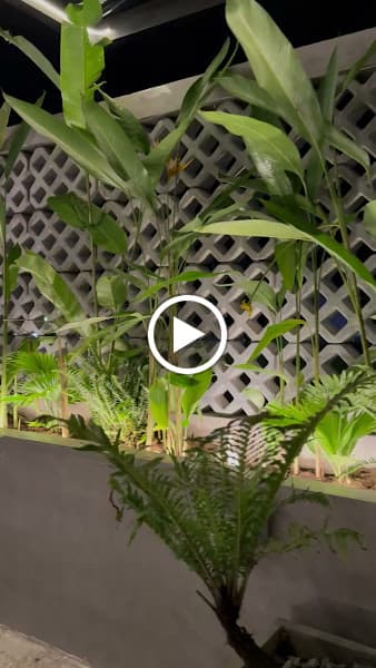 Hình ảnh D Coffee & Tea - 3