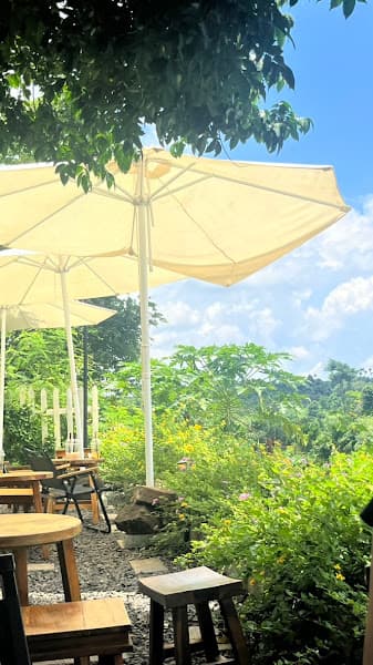 Ảnh bìa MƠ coffee - cà phê cắm trại