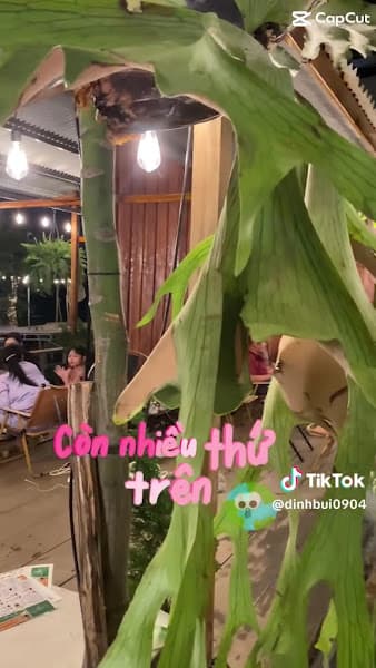 Hình ảnh CHẠM Coffee & Tea - 4