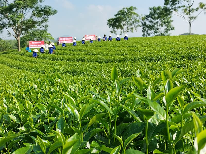 Khu di tích lịch sử Cách mạng Lào tại thôn Ngòi