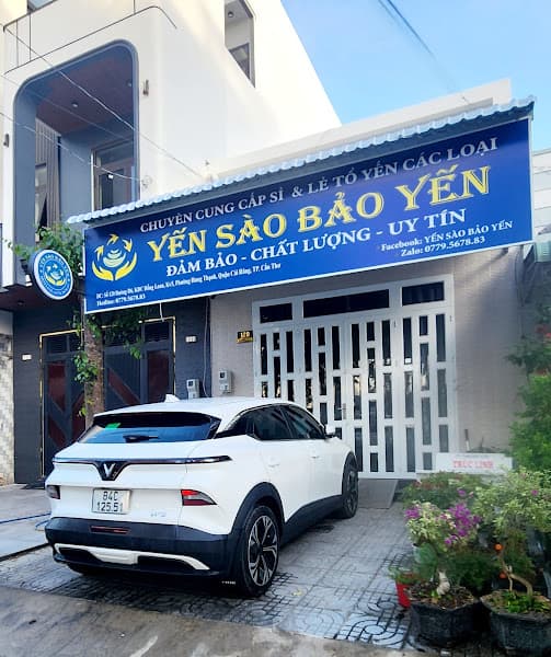Ảnh bìa YẾN SÀO BẢO YẾN