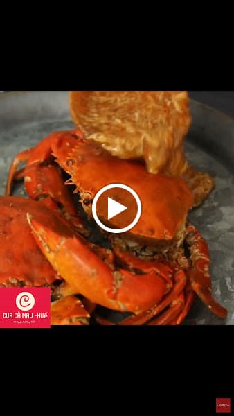 Hình ảnh Cua Cà Mau - Huế - 3