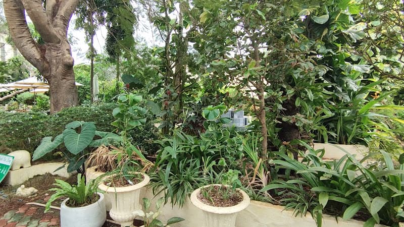 Hình ảnh Quán cafe Dạ Thảo (An Châu Chương) - 4