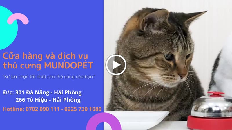 Hình ảnh MundoPet 266TôHiệu - 6