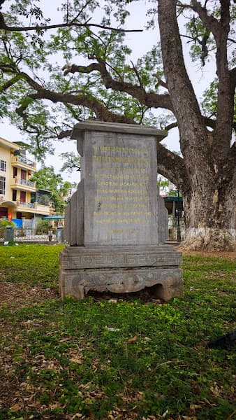 Hình ảnh Giếng Rừng - 3