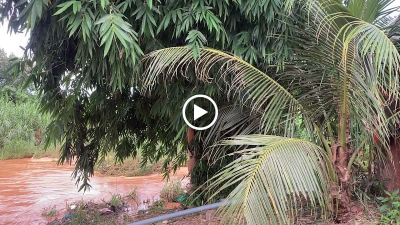 Hình ảnh Lẩu Nướng Bên Suối - 4