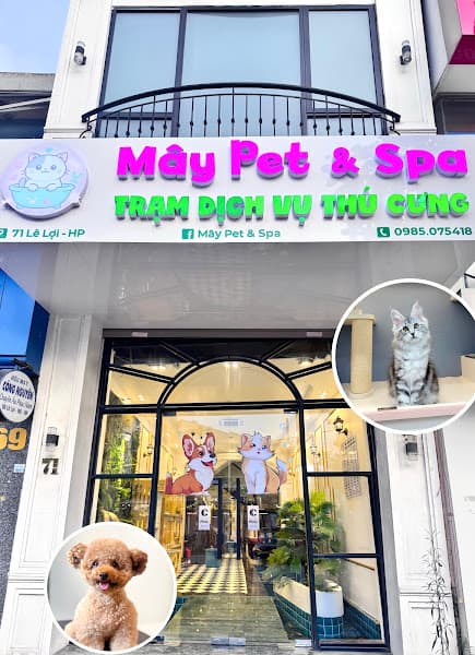 Hình ảnh Mây Pet & Spa - 5