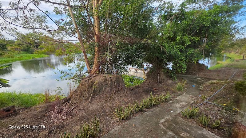 Hình ảnh Homestay An Nhiên - 5