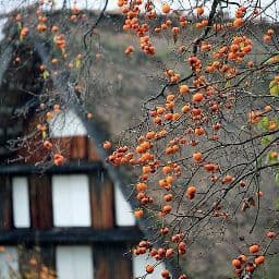 Hình ảnh Karaoke 777 - 3