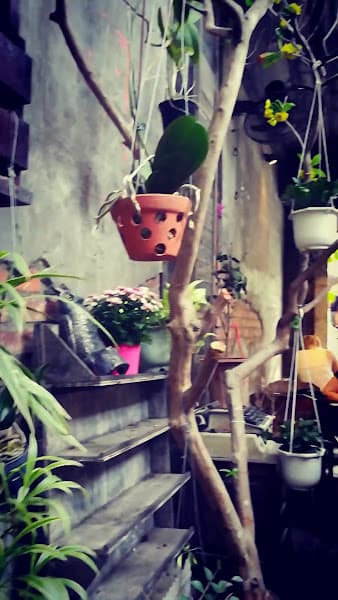 Hình ảnh Nhà hàng Gecko - 4