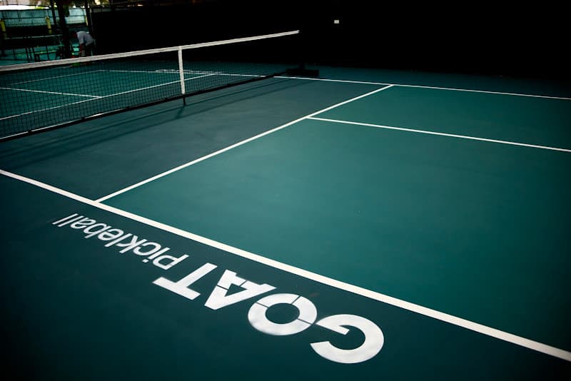 Hình ảnh GOAT Pickleball Cộng Hoà - 3