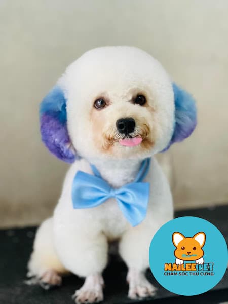 Hình ảnh Cắt Tỉa Lông - Spa Thú Cưng Mailee Cà Mau - 2