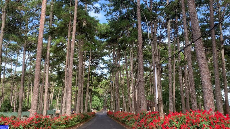 Hình ảnh Dinh 2 - 6