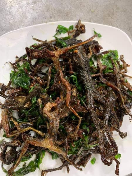 Hình ảnh Nhà Hàng Homestay Tâm Nhung - 2