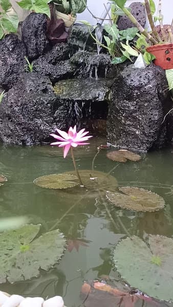 Hình ảnh Yến sào Anh Hưng - 3