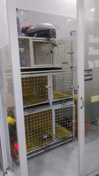 Hình ảnh TILU PET - shop chó mèo - 3