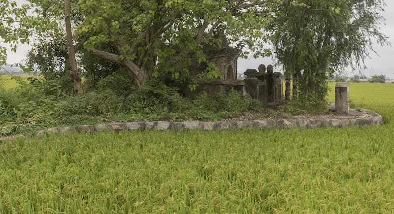 Hình ảnh Di Tích Cồn Miệu - 4