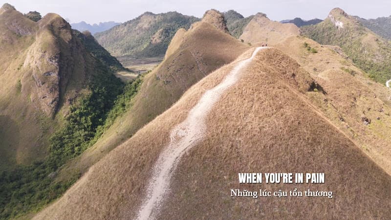 Hình ảnh Đồi Cỏ Cháy Vinh Quý - 5