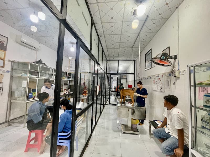 Hình ảnh TruongDung Pet - Phòng Khám Thú Y Cần Thơ | Cấp Cứu Thú Y Xuyên Đêm 24/24 - 4