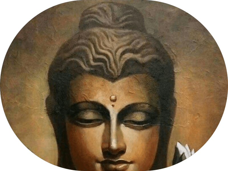 Ảnh bìa Yến Sào Thuận Thông