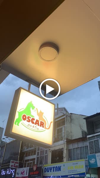 Hình ảnh Oscar Pet Shop-cắt tỉa lông chó mèo - 2