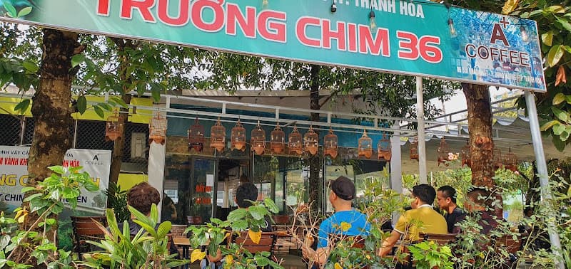 Hình ảnh Cafe A+ - 3
