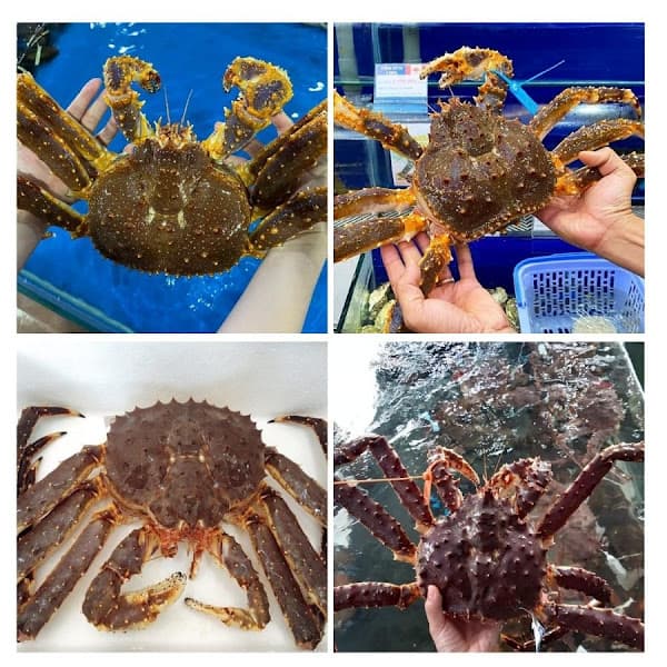 Hình ảnh HỆ THỐNG VỰA HẢI SẢN LỘC - KHO TỔNG - 2