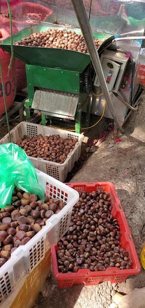 Hình ảnh Chợ Cốc Lếu B - 5