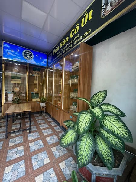 Hình ảnh Yến sào cô Út - 4