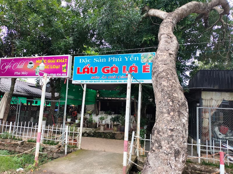 Lẩu gà lá é - Đặc sản Phú Yên