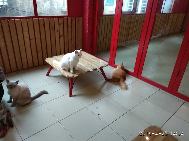 Hình ảnh Dobodo Town - 2