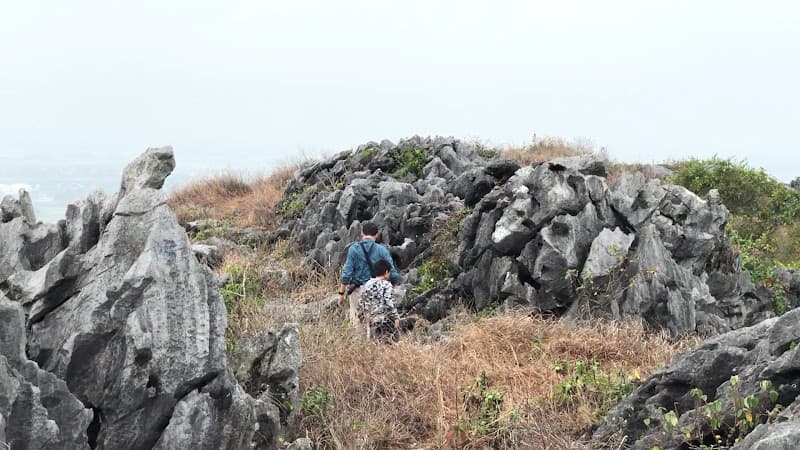 Hình ảnh Núi Voi, An Lão - 3