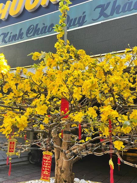 Hình ảnh Karaoke PHƯƠNG NAM - 5