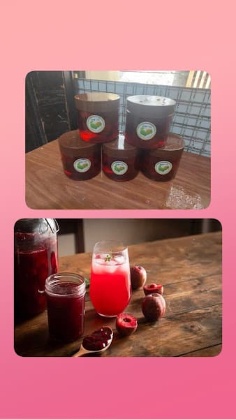 Hình ảnh THÚY AN XOÀI CÓC BAO TỬ & ĐỒ ĂN VẶT ONLINE - 4