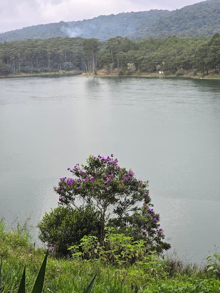 Hình ảnh Bánh mì xíu mại - Ánh Sáng - 2