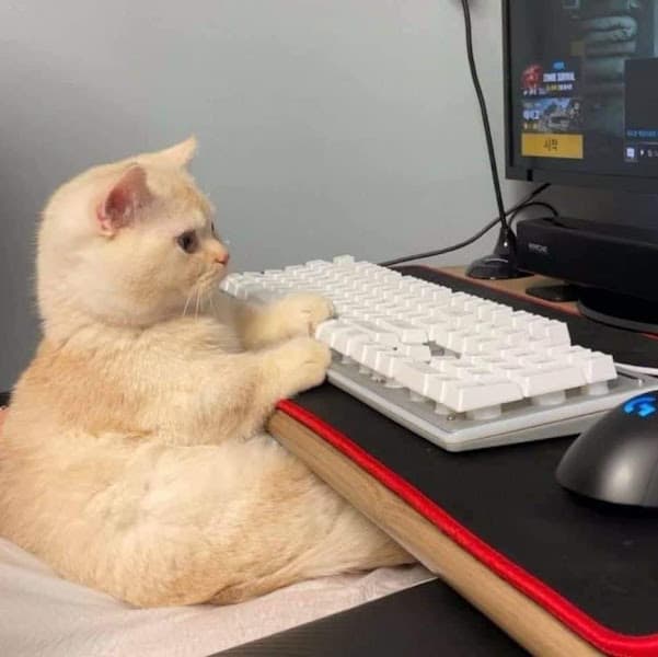 Hình ảnh Trung Tâm Tiêm Chủng FPT Long Châu - 3