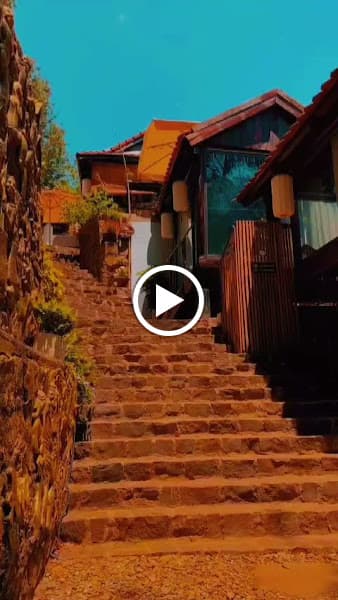 Hình ảnh Chay Hạnh Phúc Ako Dhong - 5