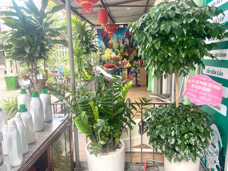 Hình ảnh Bách Hóa Xanh Ecofami- Tiến Liên - 2