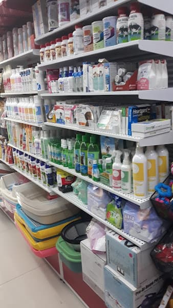 Hình ảnh Pet Mart Hải Phòng - Cửa Hàng Thú Cưng - 2