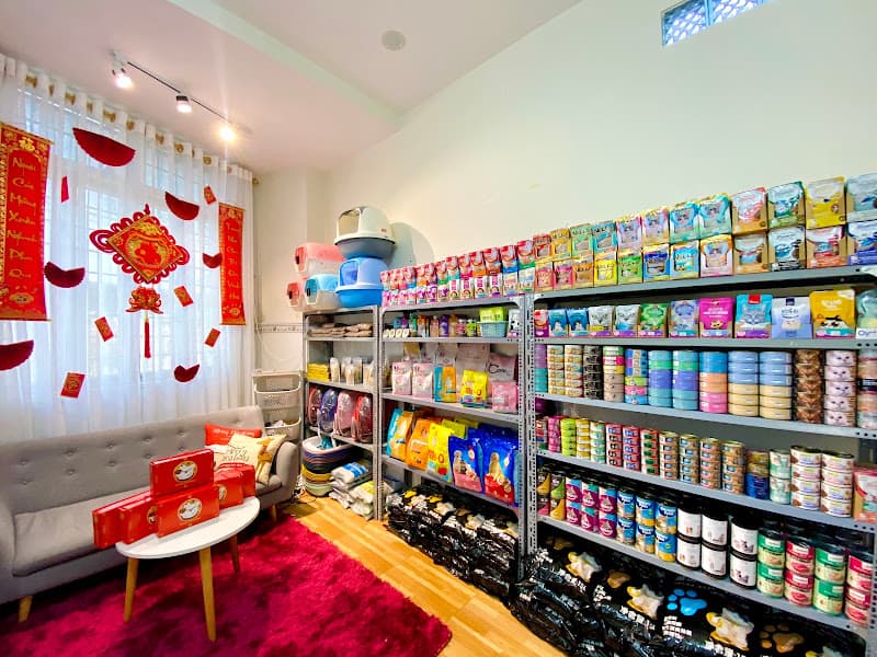 Hình ảnh Chú Mèo Béo - Pet Store - 2