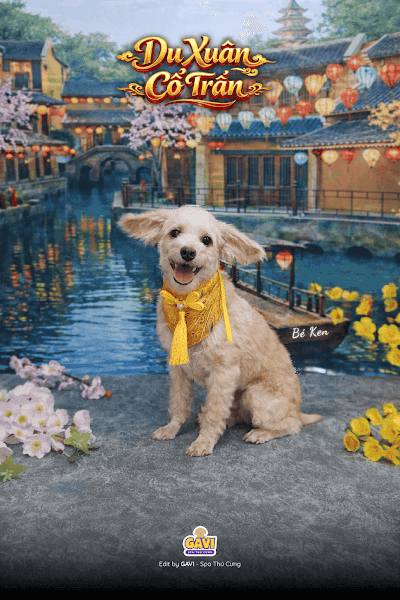 GAVI - Spa Thú Cưng