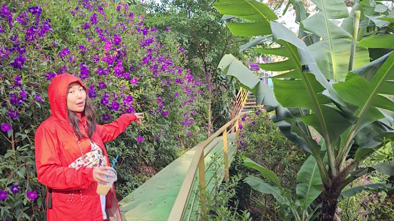 Hình ảnh Đường Hầm Hỏa Xa Đà Lạt - 4